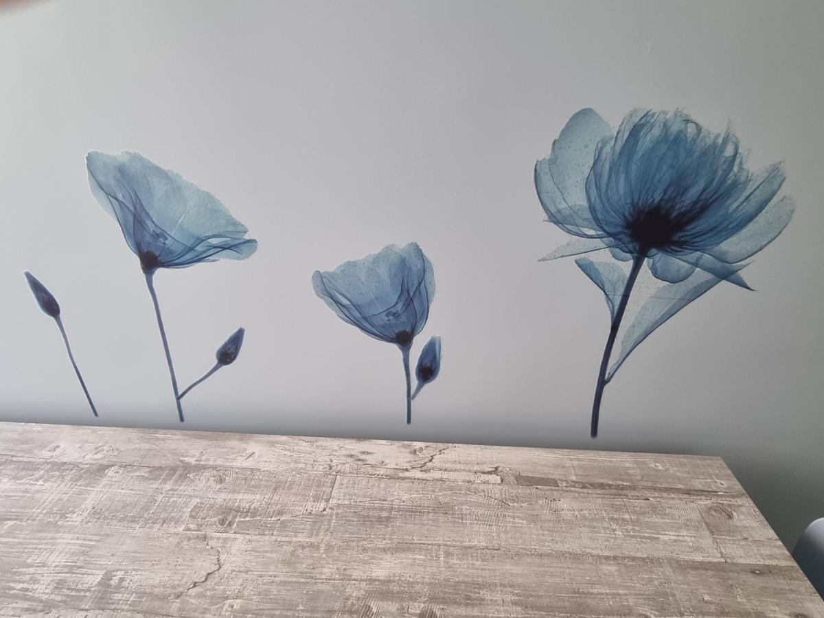 Blue House Apartment - San Massimo ヴェローナ エクステリア 写真